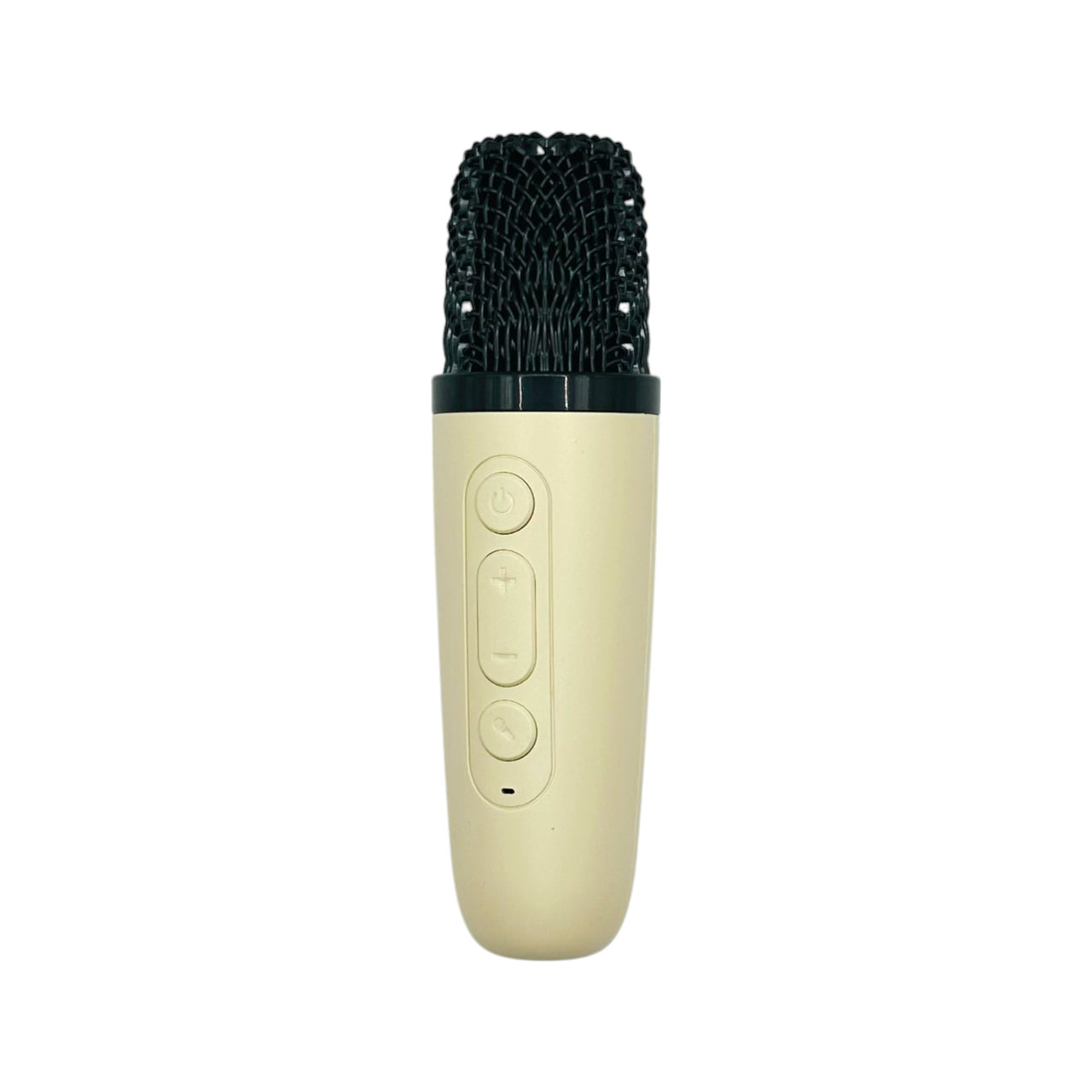 Mini Karaoke con 2 Microfonos